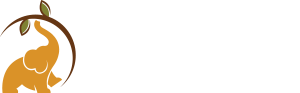 Back To Roots Ayurveda logo