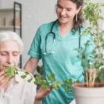 Top 10 Ayurvedic Hospitals in Kerala