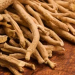 Ashwagandha Rasayana Benefits in Ayurveda for Strength and Rejuvenation