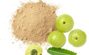 Effective Ayurvedic Treatments for Hair Loss and Early Greying